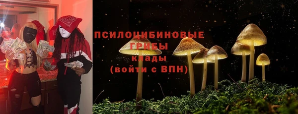 не бодяженный Зеленодольск