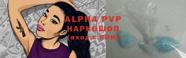 стафф Зерноград