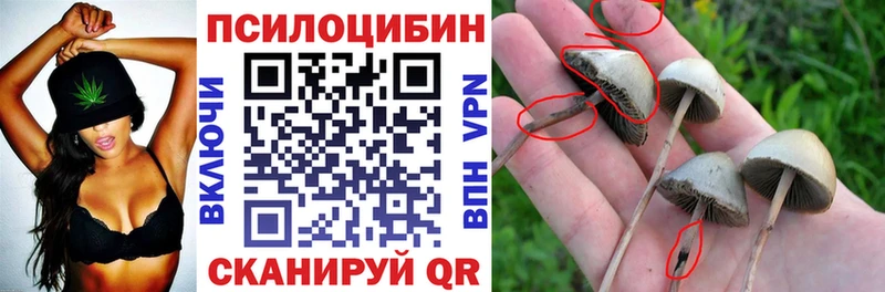 Псилоцибиновые грибы MAGIC MUSHROOMS Заозёрск